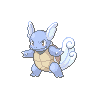 Mystic Wartortle